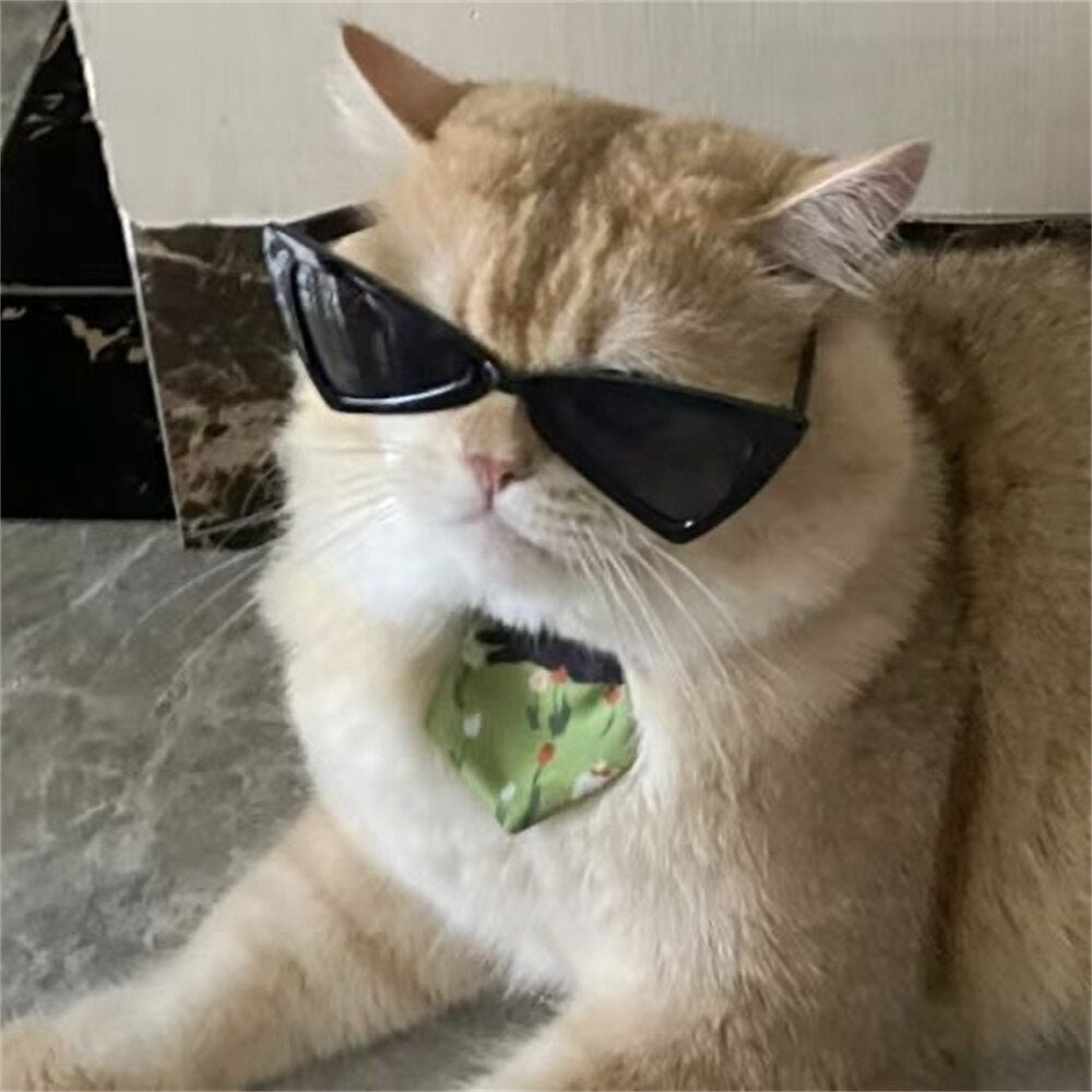 Personnalisez les lunettes de soleil Sphynx accessoires pour animaux de compagnie pour chats chiot chaton lunettes coupe-vent lunettes pour animaux de compagnie fournitures de voyage en plein air 