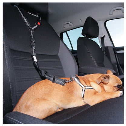 Solides Zwei-in-Eins-Hundegeschirr, Leine, Haustier-Autosicherheitsgurt 