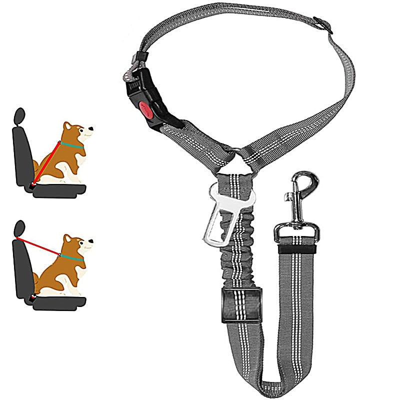 Harnais de chien solide deux en un laisse ceinture de sécurité de voiture pour animaux de compagnie 